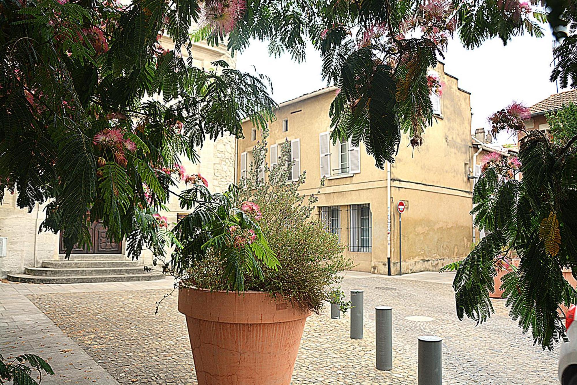 Maison Rascas - Centre Historique - Air Conditioning- Wifi Aviñón Exterior foto